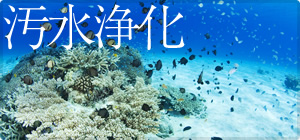 汚水浄化